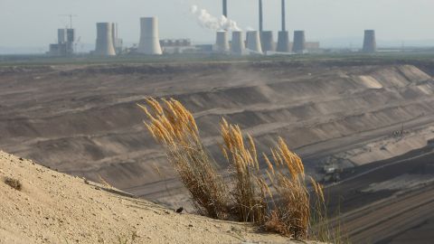 Un estudio  investiga cómo y por qué se han desplazado las plantas por la geografía a lo largo del tiempo, hacia dónde se dirigen