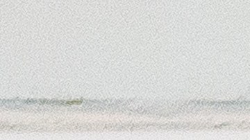 Lia Thomas, nadadora transgénero en el podio de una competencia femenina.