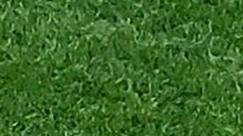 Lionel Andrés Messi.