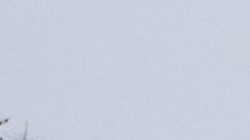 Los Ángeles podría vivir su racha de frío más larga en los últimos 35 años