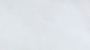 Madre de Texas es acusada por abandonar a sus dos hijos pequeños y dejarlos solos en casa durante casi dos meses