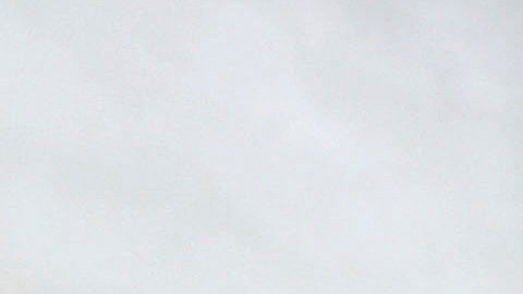 Madre de Texas es acusada por abandonar a sus dos hijos pequeños y dejarlos solos en casa durante casi dos meses