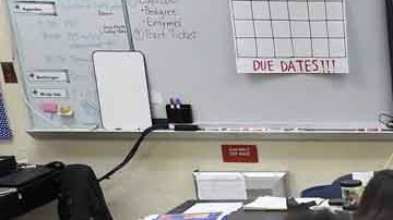 Ninguna de las acusaciones en contra de Kimberly Winters pudo ser comprobada