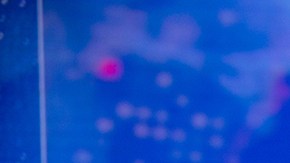 Maity Interiano presentadora de Noticiero Univision 'Edición Nocturna'