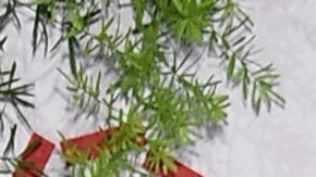 Maluma y Marc Anthony en la "Maestro Cares Third Annual Gala Dinner" en nueva York.