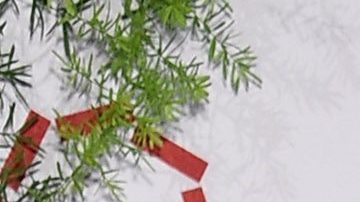 Maluma y Marc Anthony en la "Maestro Cares Third Annual Gala Dinner" en nueva York.