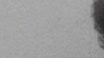 Mamá de Carolina del Sur 'escupió' a otra mujer que respondió matándola a tiros en estacionamiento de Kroger