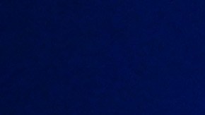 Marc Anthony ganó en la categoría Álbum del Año Tropical en el Premio Lo Nuestro 2023.