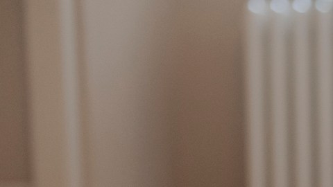 Las autoridades argentinas han expresado su preocupación por el gran número de mujeres rusas embarazadas que han entrado recientemente en el país