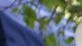 Millonario de California fingió su propio secuestro y muerte con la ayuda del FBI