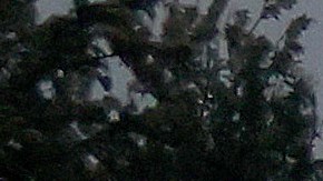 Nieve en el desierto tormenta que afecta el sur de California provocó la caída de una capa de nieve en Palm Springs