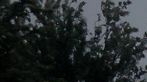 Nieve en el desierto tormenta que afecta el sur de California provocó la caída de una capa de nieve en Palm Springs