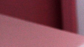 La app TTcare, desarrollada por la empresa surcoreana AI for Pet, ha sido galardonada con el Premio a la Innovación en el CES 2023