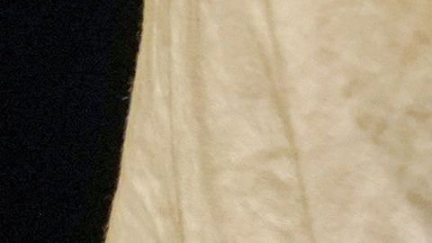 Obligan a mamá latina lactante a dejar de amamantar a su bebé y a que use biberones en una disputa por la custodia