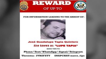 Recompensa por Lupe Tapia