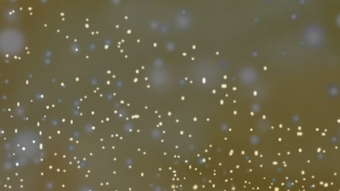 Los nacidos del 19 de febrero al 20 de marzo son Piscis.