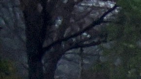 Poderosa tormenta avanza hacia el sur de California con advertencia de nieve histórica en Los Ángeles