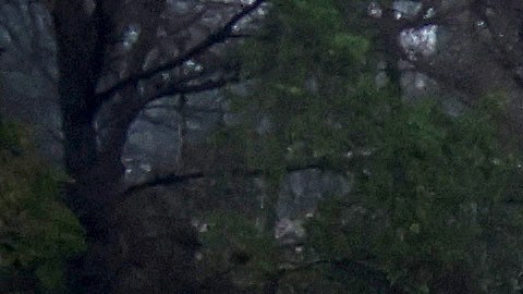 Poderosa tormenta avanza hacia el sur de California con advertencia de nieve histórica en Los Ángeles