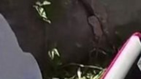 La policía encontró la momia durante un control de seguridad rutinario.