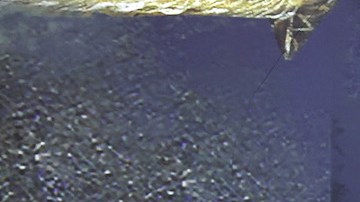 Los usuarios pueden dirigir a FRIDA introduciendo una descripción de texto, enviando otras obras de arte para inspirar su estilo o subiendo una fotografía y pidiéndole que pinte una representación de la misma