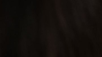 Dos días después de haber atentado en contra de su víctima, la impudente conductora se fugó del país