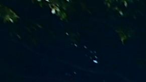 Tensión al límite cuando cuadrillas desmantelan por la fuerza campamentos para personas sin hogar en el centro de Los Ángeles