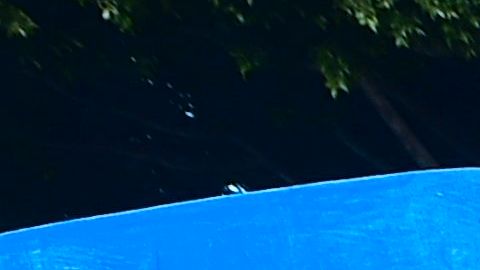 Tensión al límite cuando cuadrillas desmantelan por la fuerza campamentos para personas sin hogar en el centro de Los Ángeles