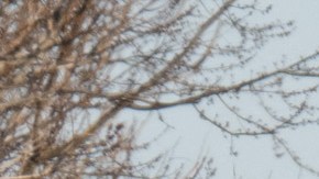 Tren descarrilado en Ohio transportaba más productos tóxicos de los que se informó inicialmente