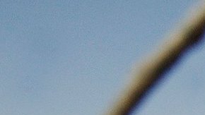 Un hombre identificado únicamente como Waris había estado bajo custodia policial por profanar páginas de un ejemplar del Corán, libro sagrado del Islam