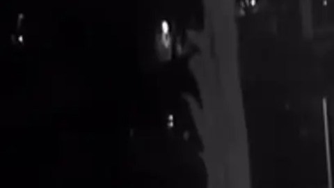 Video muestra cómo mamá de 16 años arroja bebé sobre una barda para intentar escapar de sicarios que mataron a 6 en California