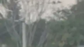 Violencia en Veracruz