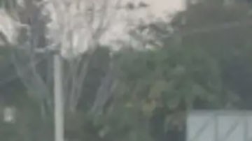 Violencia en Veracruz