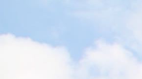 Manifestación juvenil por el clima en el Capitolio Federal