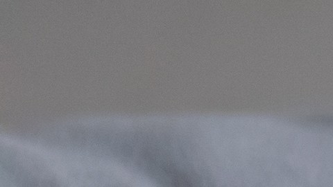 Resguardarse en casa puede ser divertido para algunos signos, pero para otros demasiado aburrido.