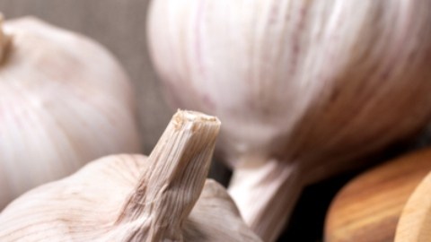 Suplementos a base de ajo pueden mejorar los índices de salud cardiovascular