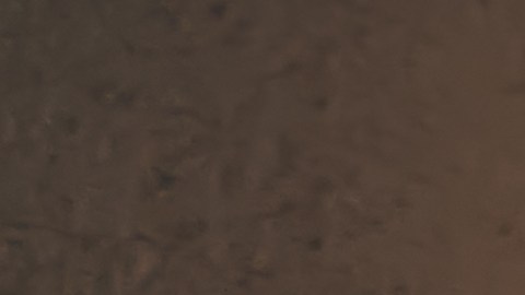 Alma gemela en la numerología