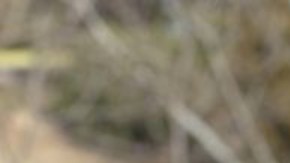 Dora María Téllez.