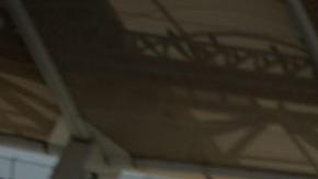 Los fanáticos acompañan a los Cañeros de Los Mochis.