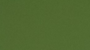 Se cree que las catarinas son de buena suerte.