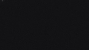 La canela y los clavos de olor poseen interesantes propiedades energéticas.