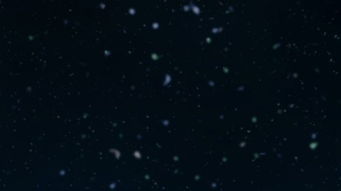 Cometa predicciones