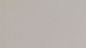 Tendencia en alza: casos de fiebre del valle en California podrían romper el récord de 2024