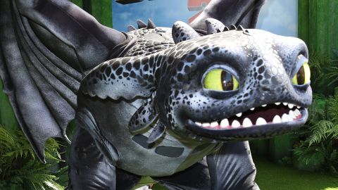 How to train your dragon