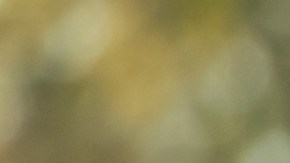 La astrología revela qué signos tienden a ser más inestables.