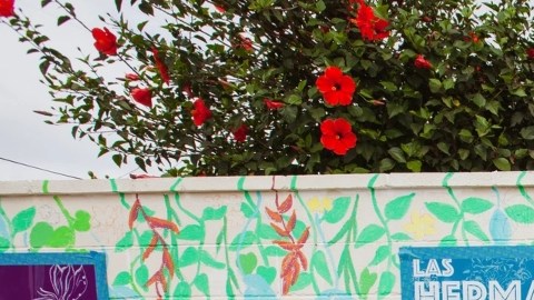 Mural llamado Las Poderosas, de la artista Alicia Rojas.