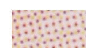 Pamela Anderson y Britney Spears