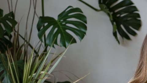 Por qué decorar tu hogar con elementos que reflejen tu identidad ayuda a tu salud mental