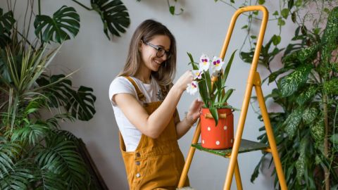 Por qué decorar tu hogar con elementos que reflejen tu identidad ayuda a tu salud mental