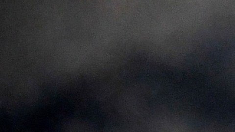 Imagen de la tapa de un barril de madera de whiskey.