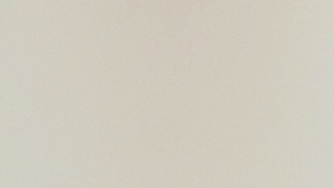 Tamales Día de la Candelaria